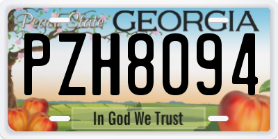 GA license plate PZH8094