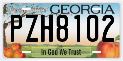 GA license plate PZH8102