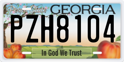 GA license plate PZH8104
