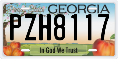 GA license plate PZH8117