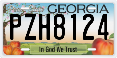 GA license plate PZH8124