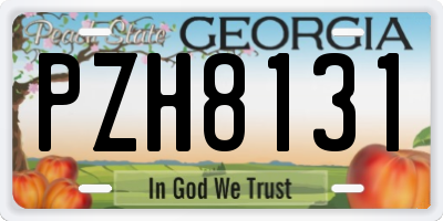 GA license plate PZH8131
