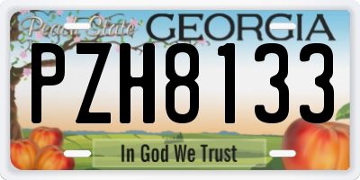 GA license plate PZH8133