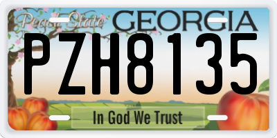 GA license plate PZH8135