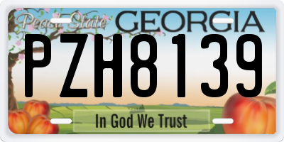 GA license plate PZH8139