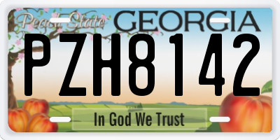 GA license plate PZH8142