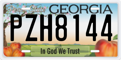 GA license plate PZH8144