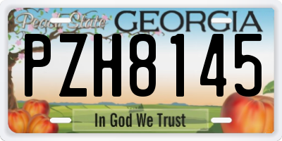 GA license plate PZH8145