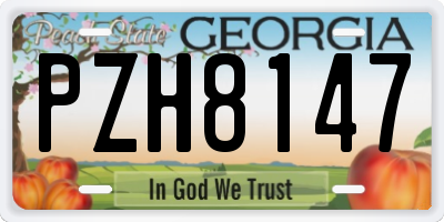 GA license plate PZH8147