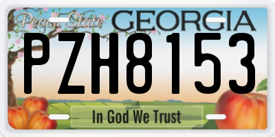 GA license plate PZH8153