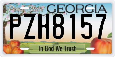 GA license plate PZH8157