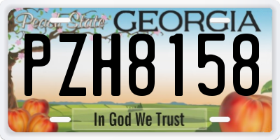 GA license plate PZH8158