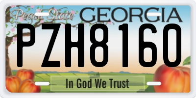 GA license plate PZH8160