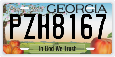 GA license plate PZH8167