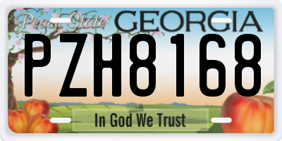 GA license plate PZH8168