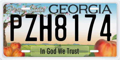 GA license plate PZH8174