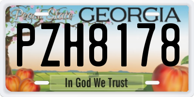GA license plate PZH8178