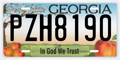 GA license plate PZH8190