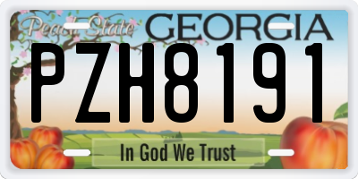 GA license plate PZH8191