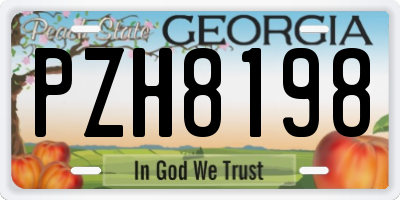 GA license plate PZH8198