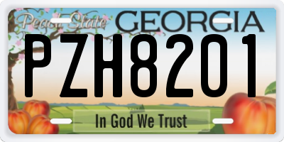 GA license plate PZH8201
