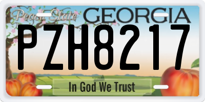 GA license plate PZH8217