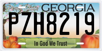 GA license plate PZH8219