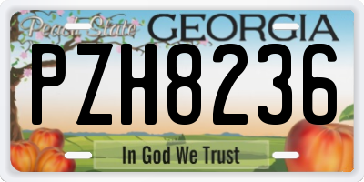 GA license plate PZH8236