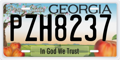 GA license plate PZH8237