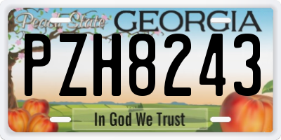 GA license plate PZH8243
