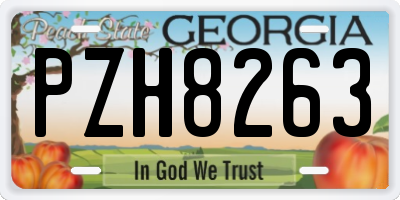 GA license plate PZH8263