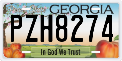 GA license plate PZH8274