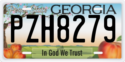 GA license plate PZH8279