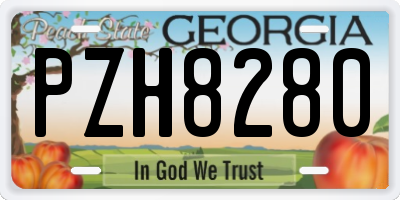 GA license plate PZH8280