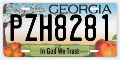 GA license plate PZH8281