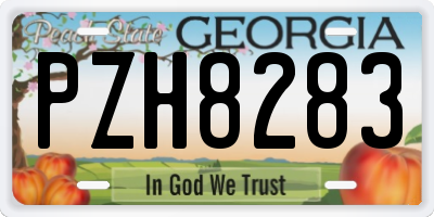 GA license plate PZH8283