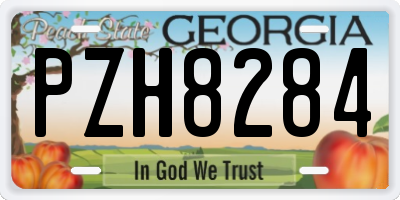 GA license plate PZH8284