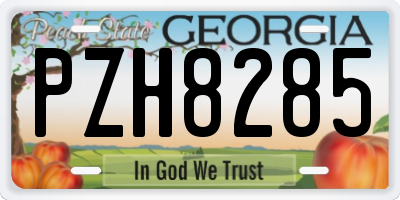 GA license plate PZH8285