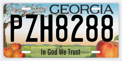 GA license plate PZH8288