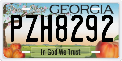 GA license plate PZH8292