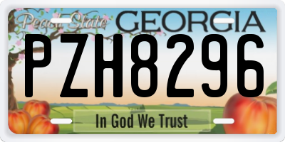 GA license plate PZH8296