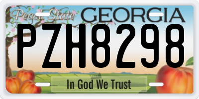 GA license plate PZH8298