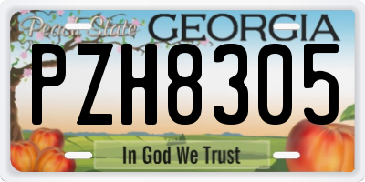 GA license plate PZH8305
