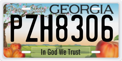 GA license plate PZH8306