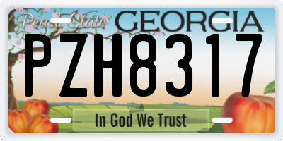 GA license plate PZH8317