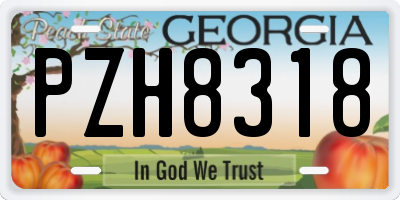 GA license plate PZH8318