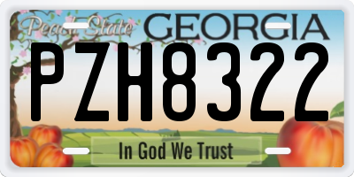 GA license plate PZH8322
