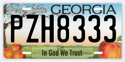 GA license plate PZH8333