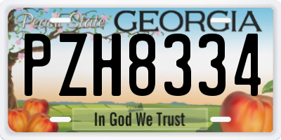 GA license plate PZH8334