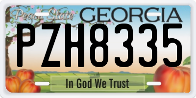 GA license plate PZH8335